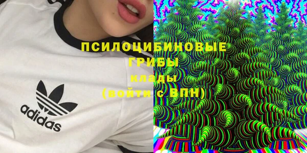 Альфа ПВП Алзамай
