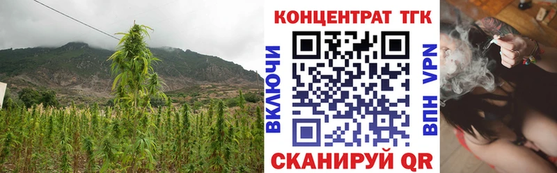 Дистиллят ТГК Wax  закладка  Анива 